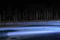 青い池・ライトアップ・冬