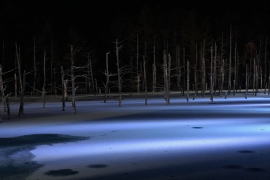 冬の青い池・ライトアップ