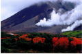 旭岳の秋の風景