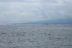 汐首岬から見た津軽海峡と下北半島