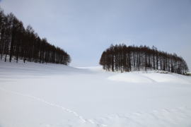 八幡丘の冬の風景