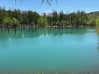 青い池