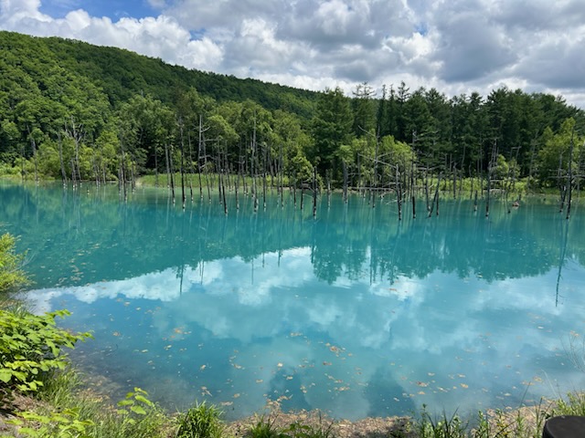 青い池