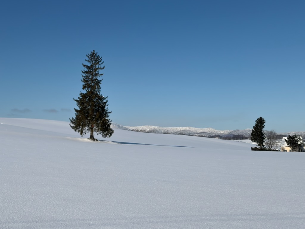 �N���X�}�X�c���[�̖�