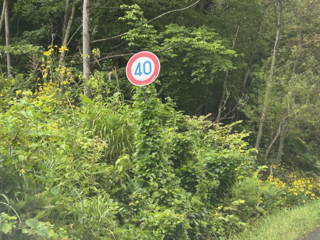 �������W��