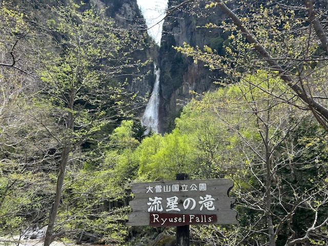 ̑